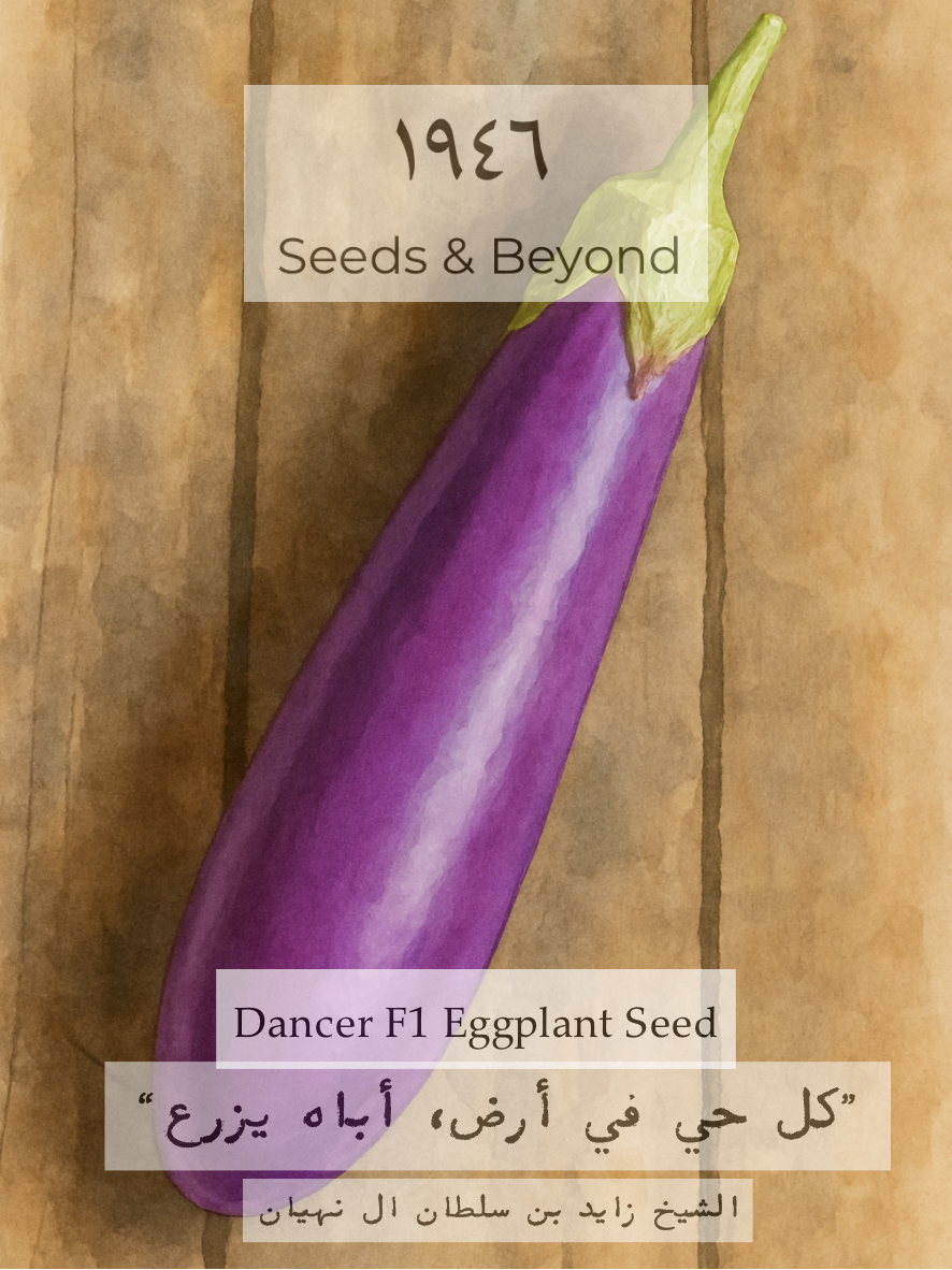 Dancer
(F1) Eggplant Seed