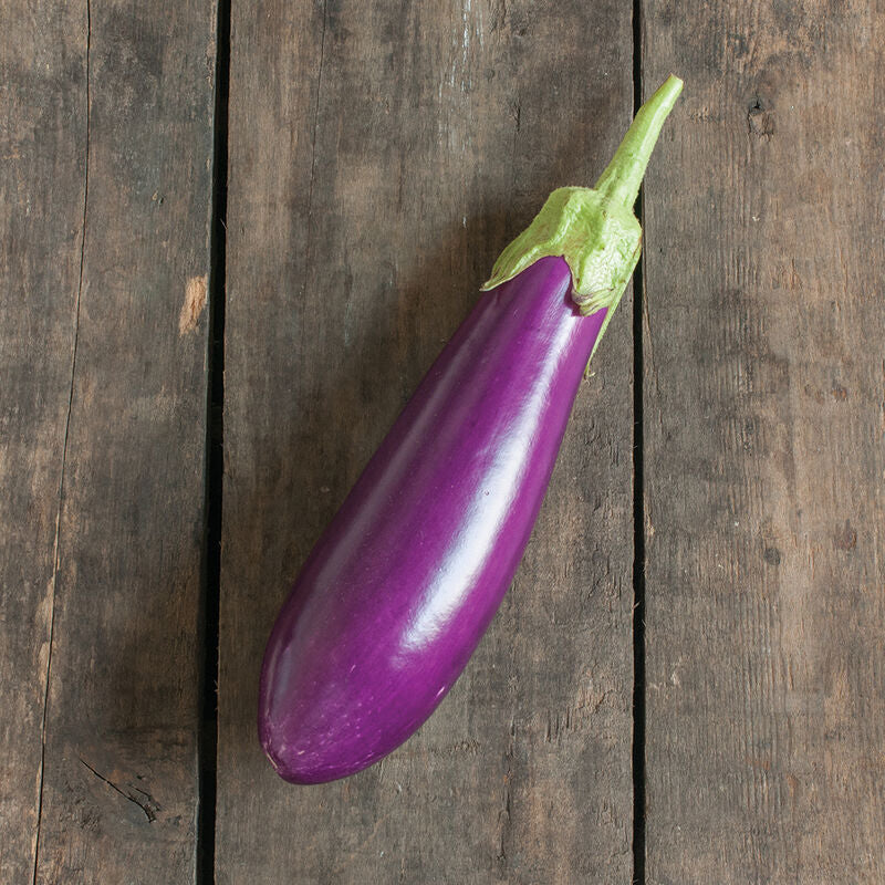 Dancer
(F1) Eggplant Seed