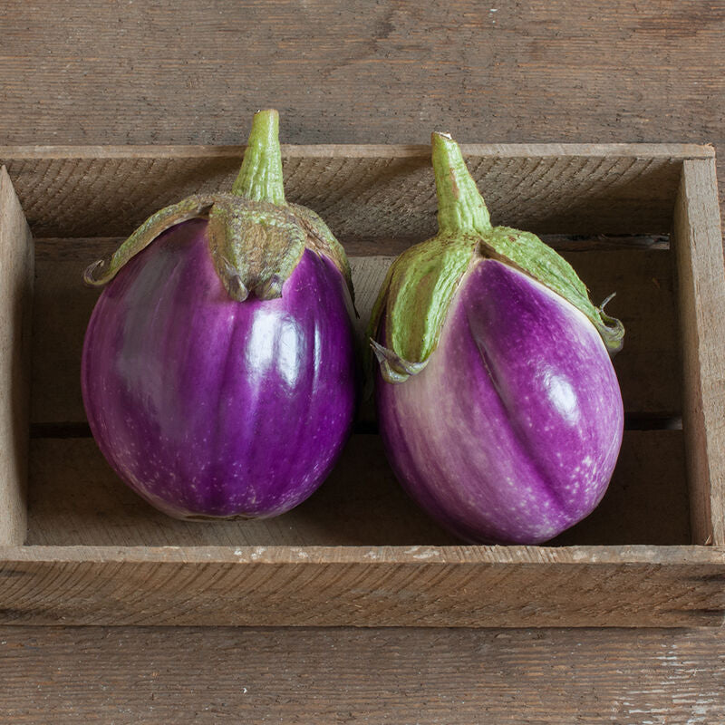 Rosa Bianca
Organic Eggplant Seed