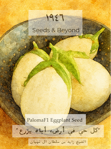 Paloma
(F1) Eggplant Seed