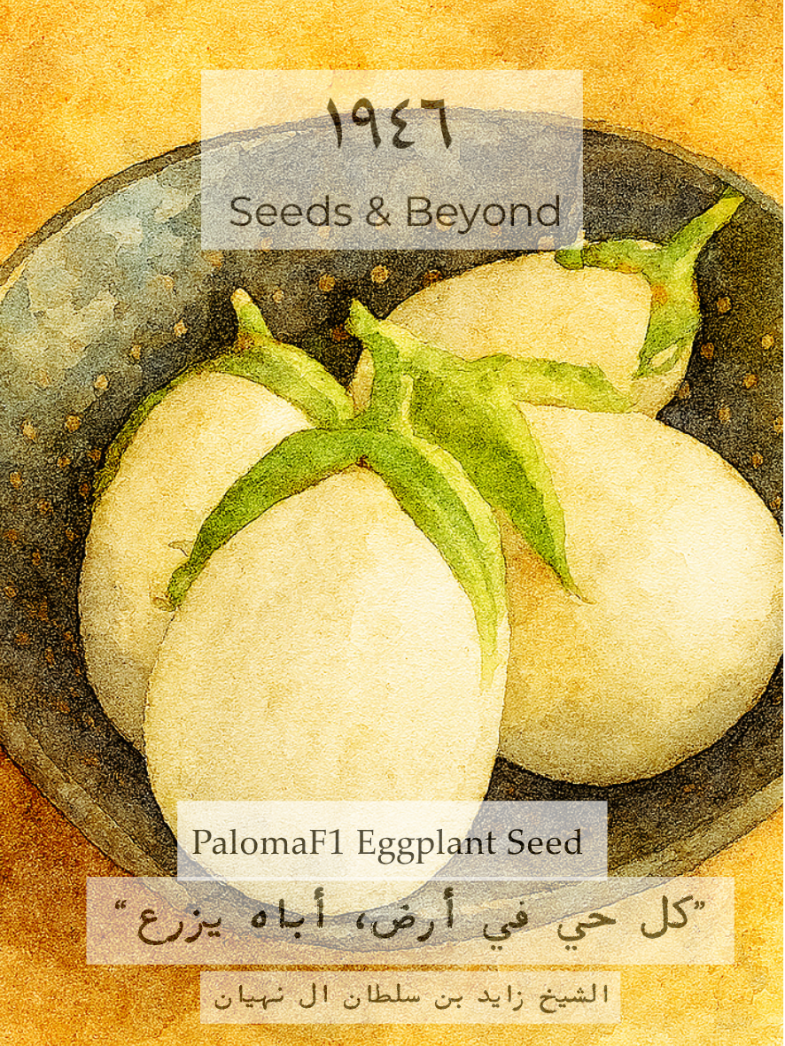 Paloma
(F1) Eggplant Seed