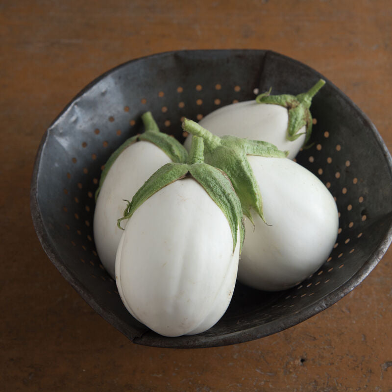 Paloma
(F1) Eggplant Seed
