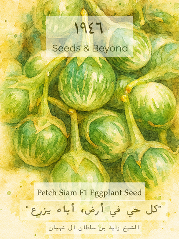 Petch Siam
(F1) Eggplant Seed