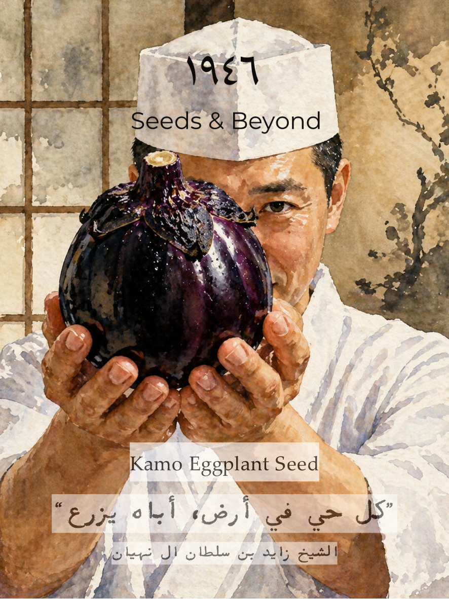 Kamo Eggplant