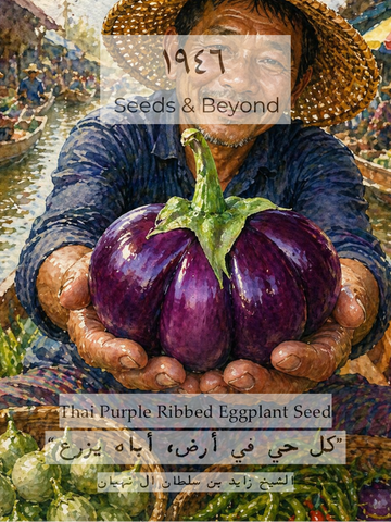 Thai Purple Ribbed Eggplant