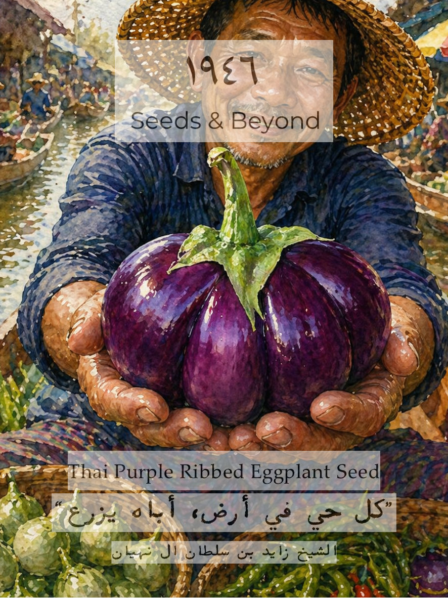 Thai Purple Ribbed Eggplant
