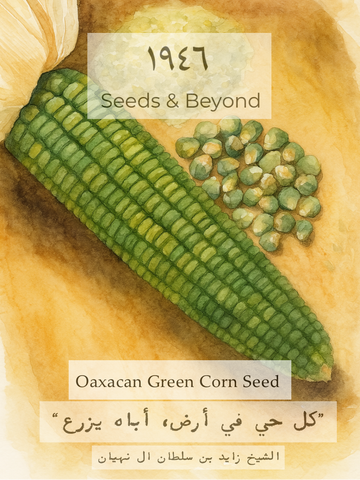 Oaxacan Green
Corn Seed
