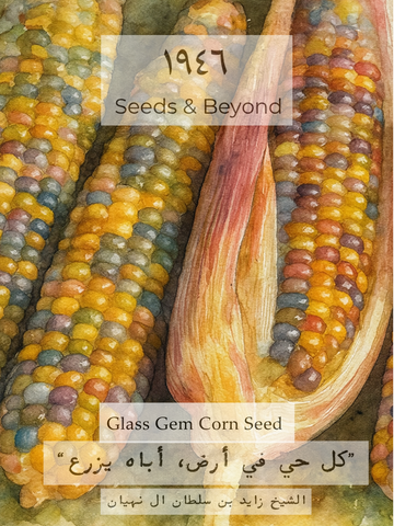 Glass Gem
Corn Seed