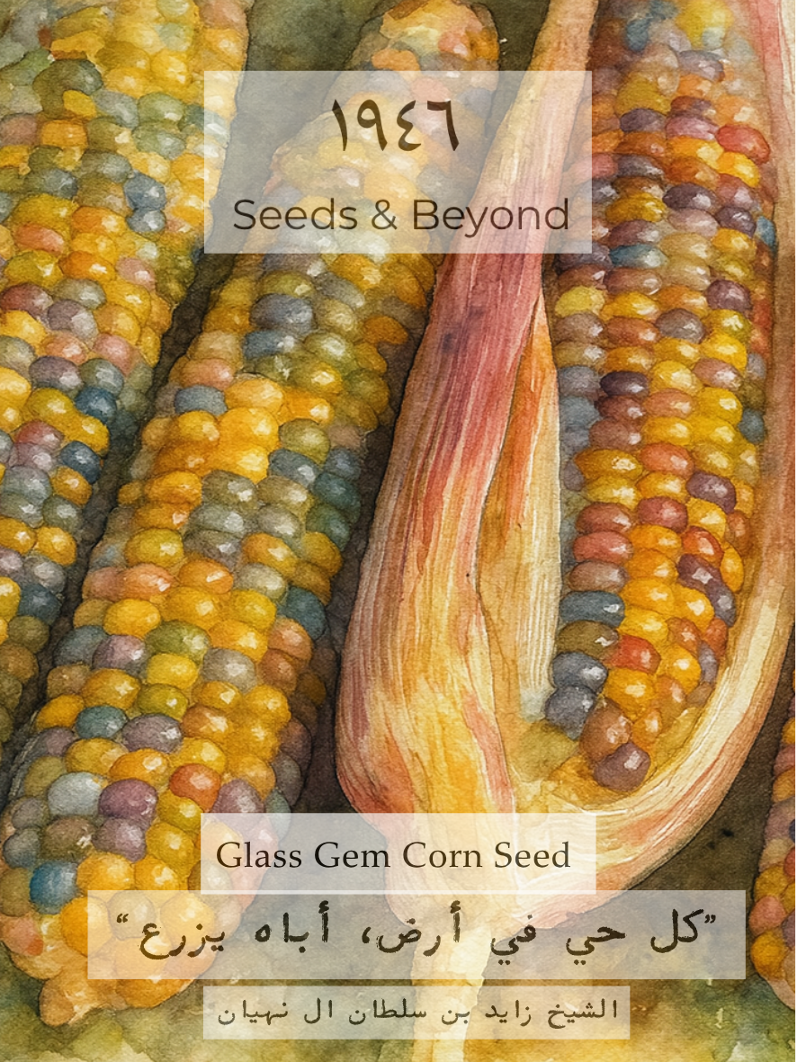 Glass Gem
Corn Seed