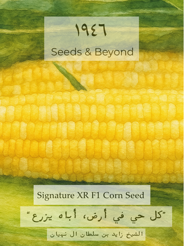 Signature XR
(F1) Corn Seed