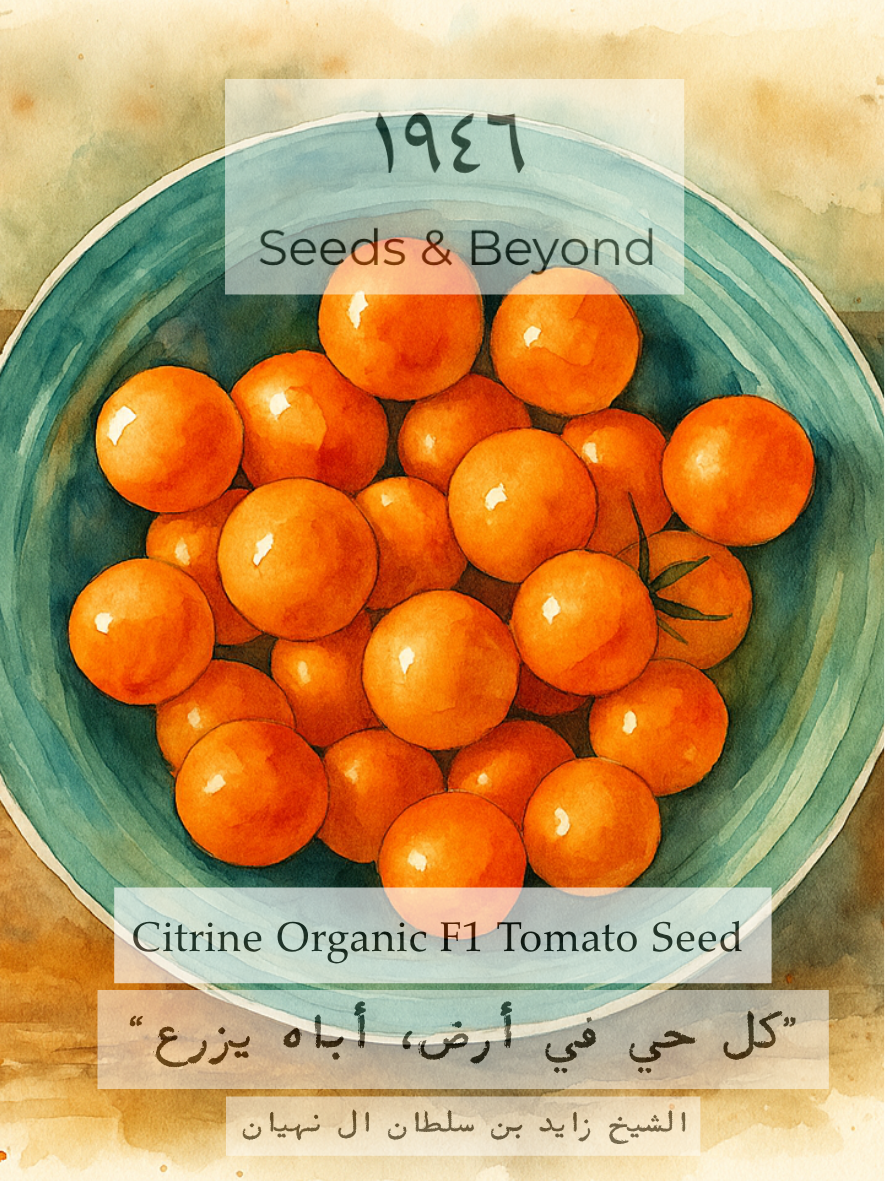 Citrine
Organic (F1) Tomato Seed