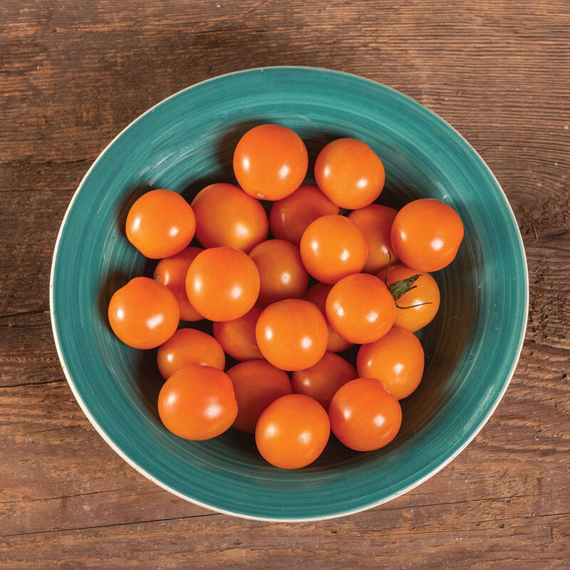 Citrine
Organic (F1) Tomato Seed