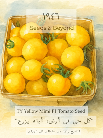 TY Yellow Mimi
(F1) Tomato Seed