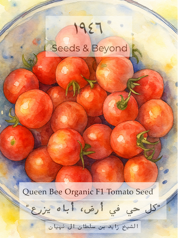 Queen Bee
Organic (F1) Tomato Seed