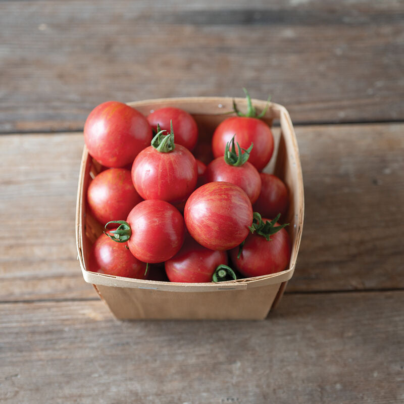 Queen Bee
Organic (F1) Tomato Seed