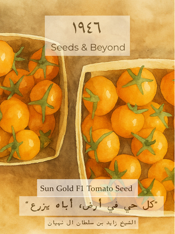 Sun Gold
(F1) Tomato Seed