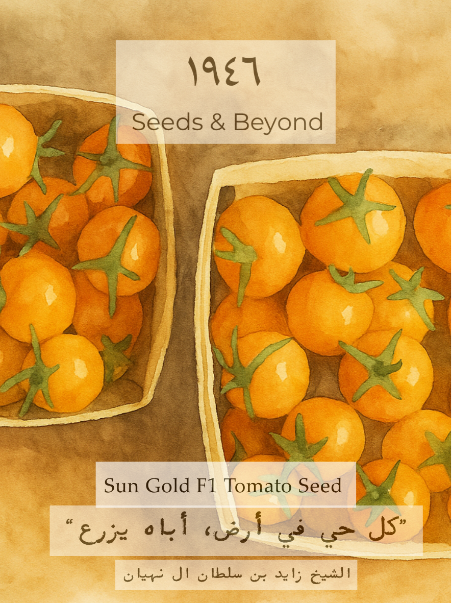 Sun Gold
(F1) Tomato Seed