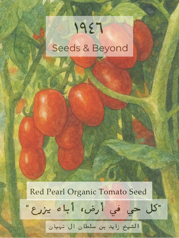 Red Pearl
Organic Tomato Seed