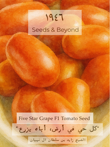 Five Star Grape
Organic (F1) Tomato Seed