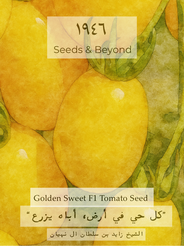 Golden Sweet
(F1) Tomato Seed
