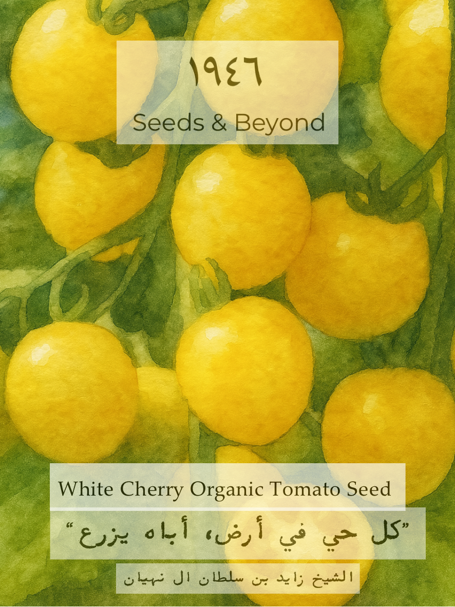White Cherry
Organic Tomato Seed
