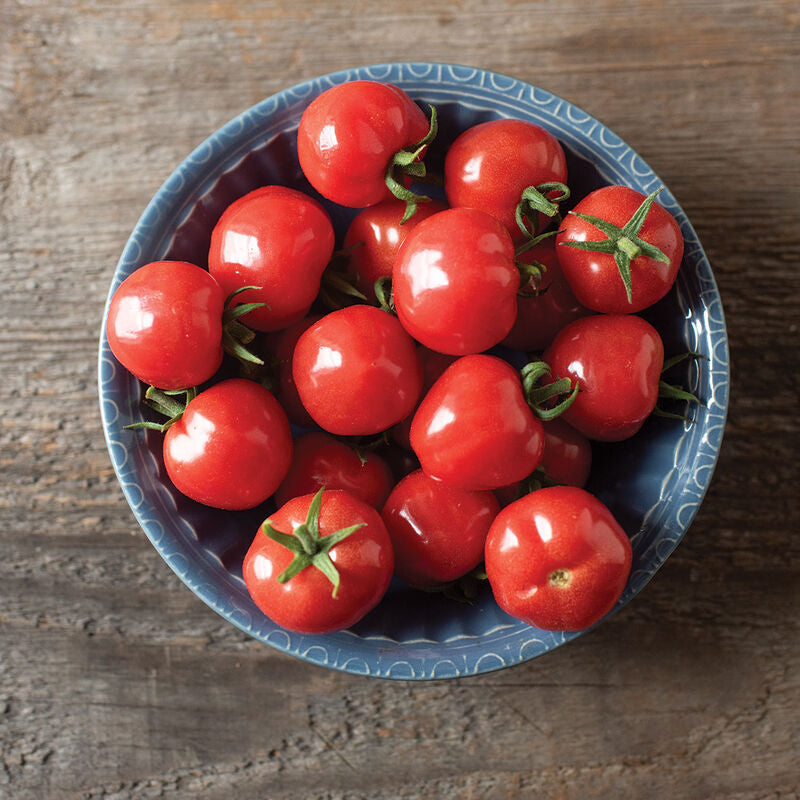 Mochi
(F1) Tomato Seed