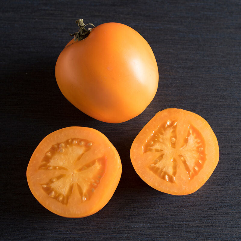 Valencia
Organic Tomato Seed