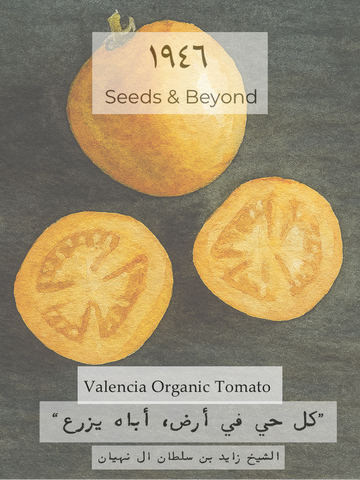 Valencia
Organic Tomato Seed