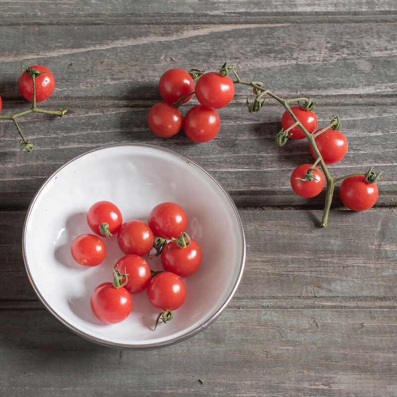 Matt's Wild Cherry
Tomato Seed