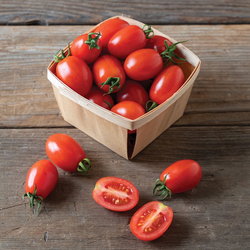 Candy Bell
(F1) Tomato Seed