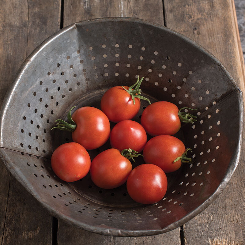 Glacier
Organic Tomato Seed