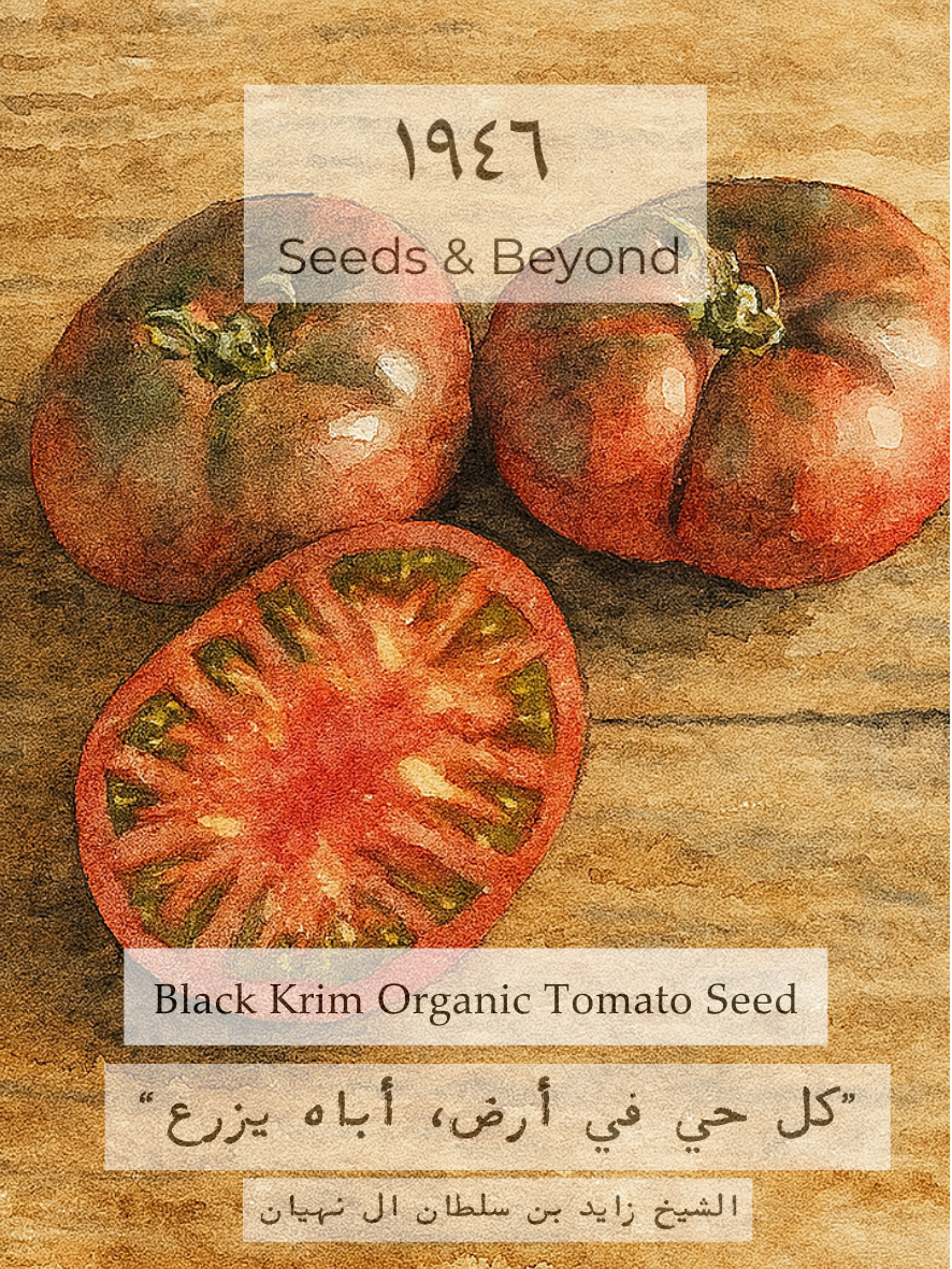 Black Krim
Organic Tomato Seed