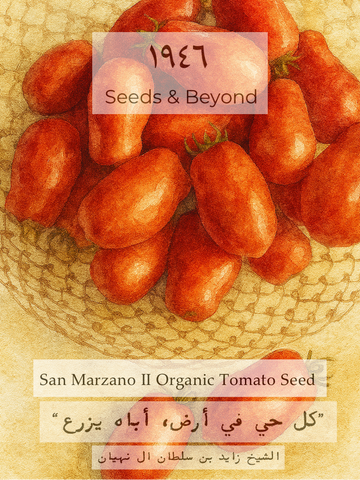 San Marzano II
Organic Tomato Seed