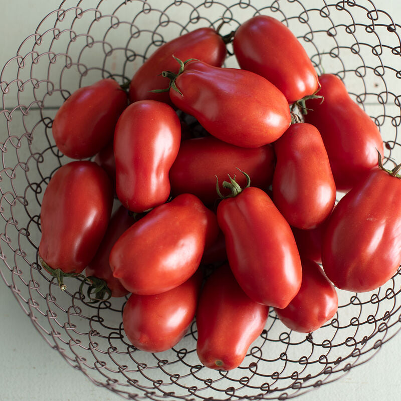 San Marzano II
Organic Tomato Seed