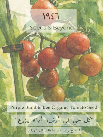 Purple Bumble Bee
Organic Tomato Seed