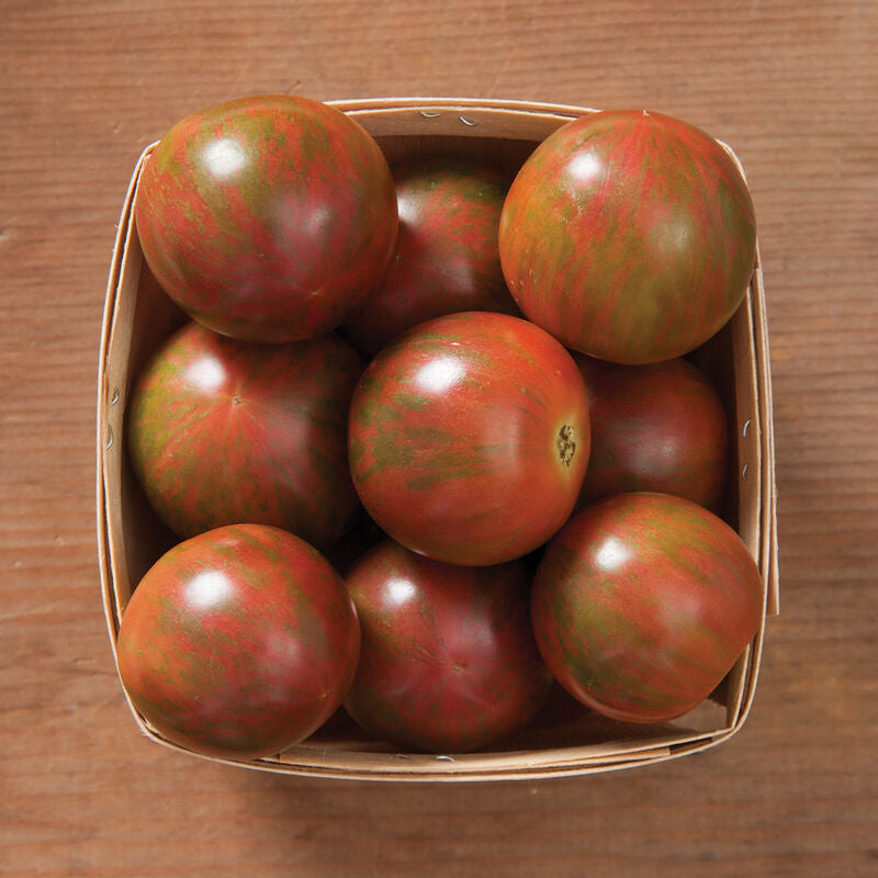 Purple Bumble Bee
Organic Tomato Seed