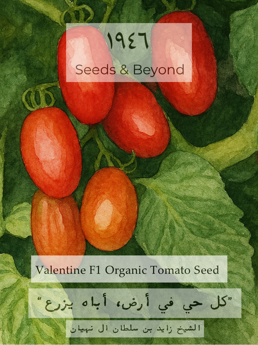 Valentine
Organic (F1) Tomato Seed