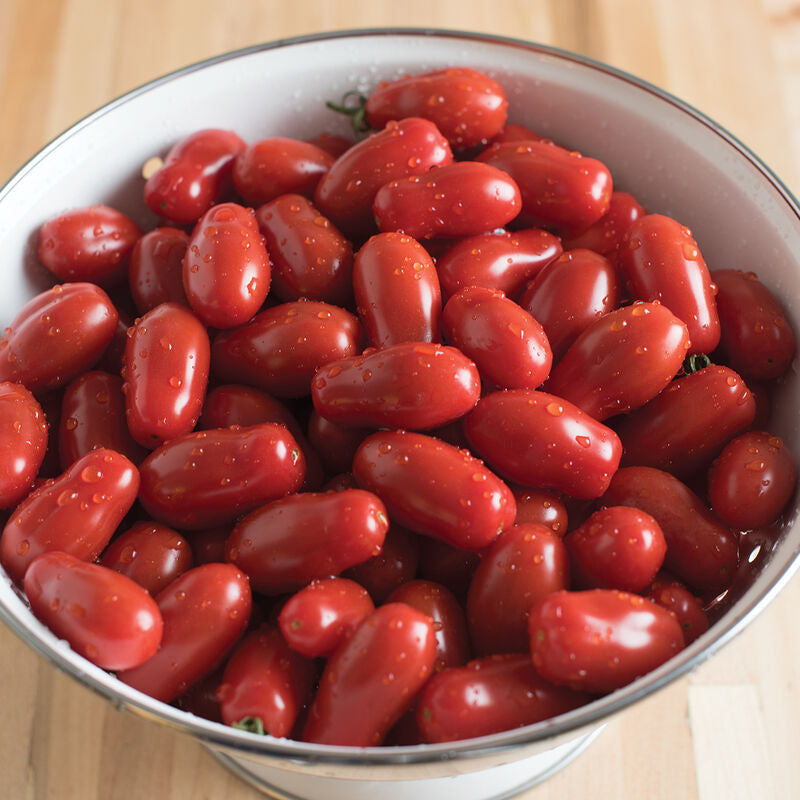 Valentine
Organic (F1) Tomato Seed