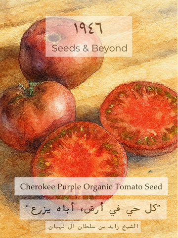 Cherokee Purple
Organic Tomato Seed