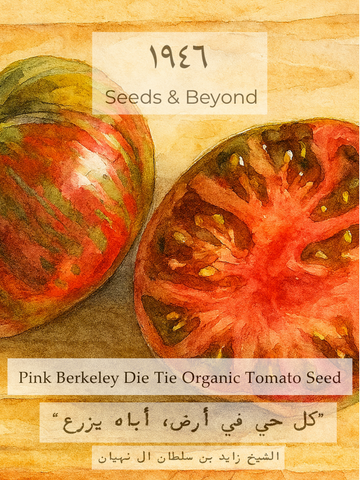 Pink Berkeley Tie Dye
Organic Tomato Seed