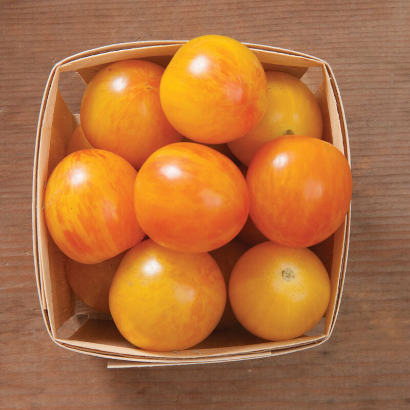 Sunrise Bumble Bee
Organic Tomato Seed