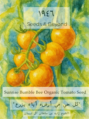 Sunrise Bumble Bee
Organic Tomato Seed