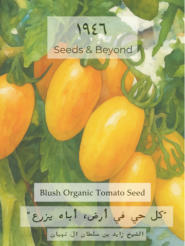 Blush
Organic Tomato Seed