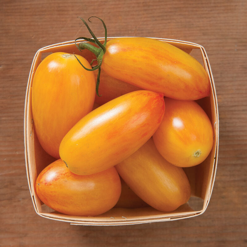 Blush
Organic Tomato Seed