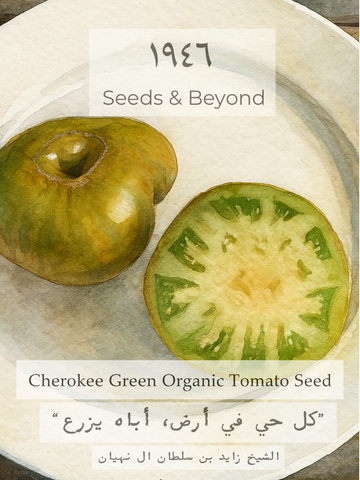Cherokee Green
Organic Tomato Seed