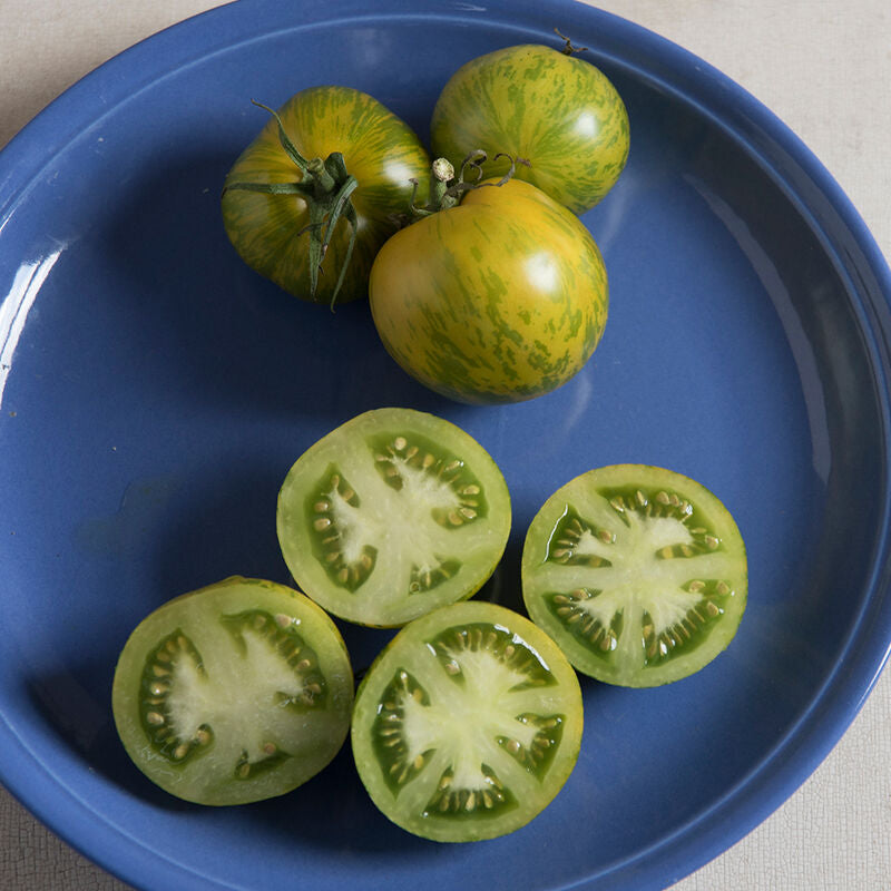 Green Zebra
Organic Tomato Seed