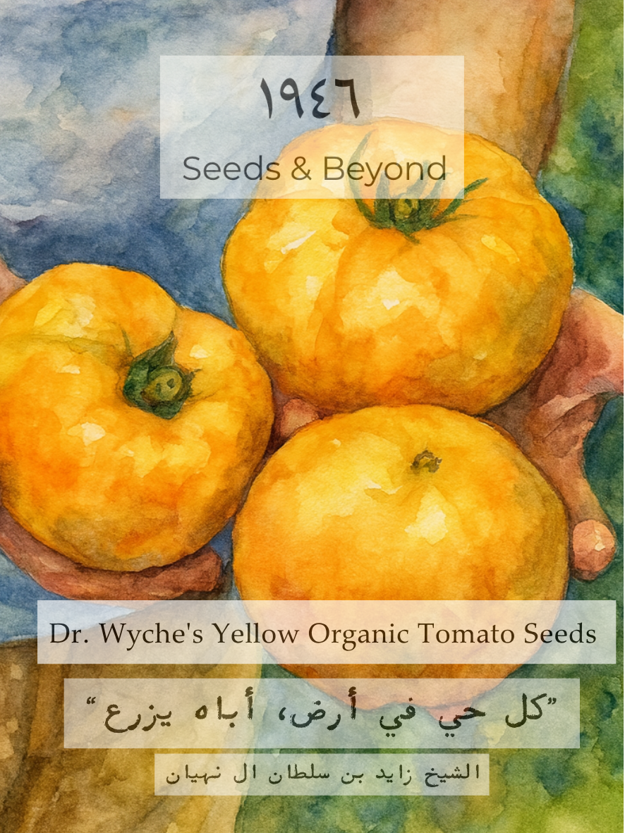 Dr. Wyche's Yellow
Organic Tomato Seed