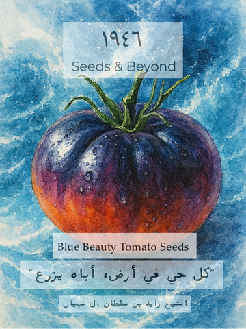 Blue Beauty Tomato Seed