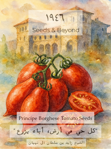 Principe Borghese Tomato