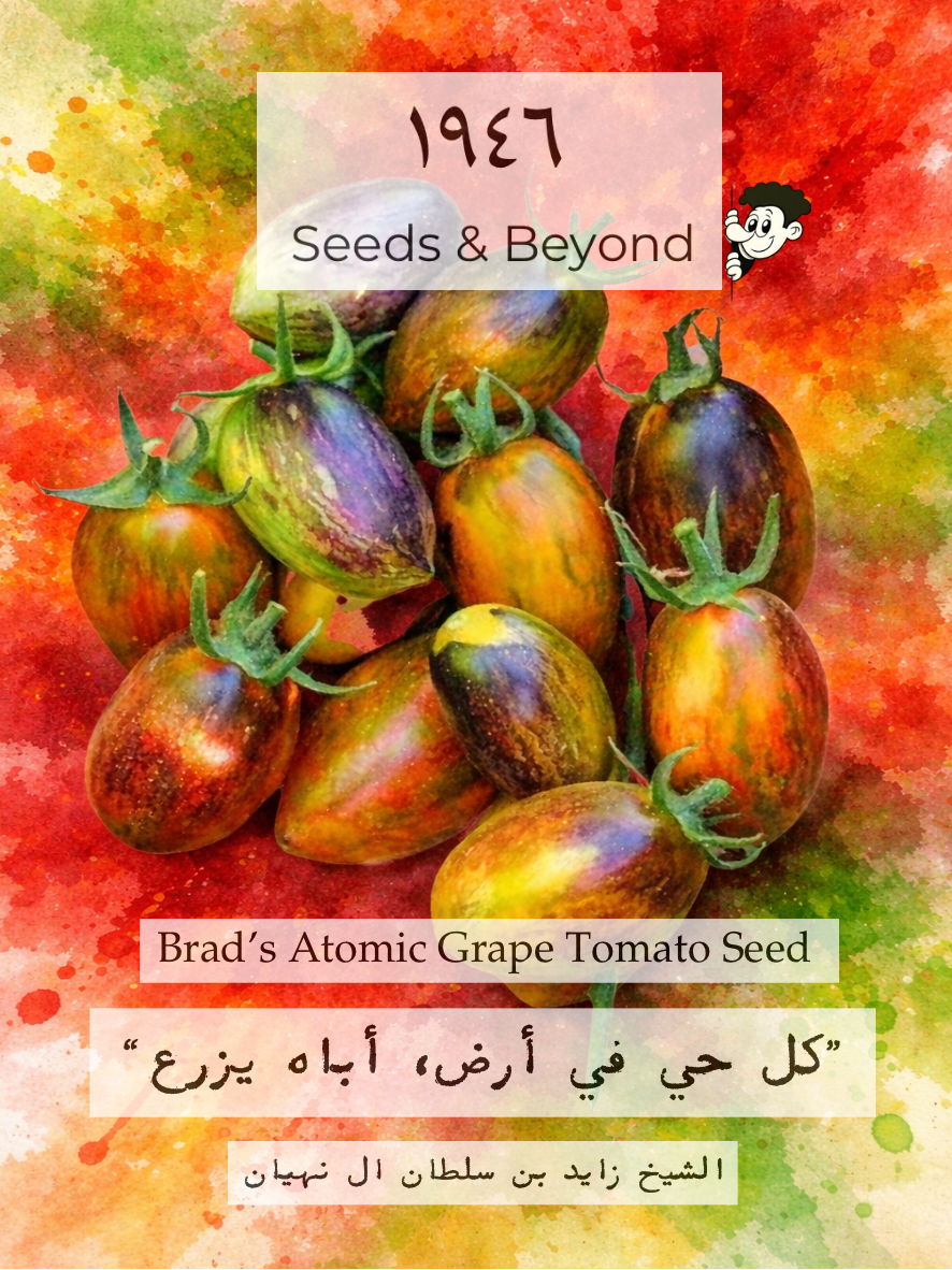 Brad’s Atomic Grape Tomato